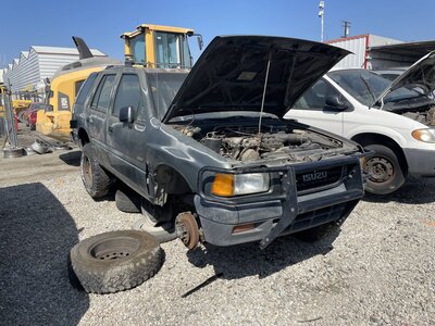 Catalog item POM063440