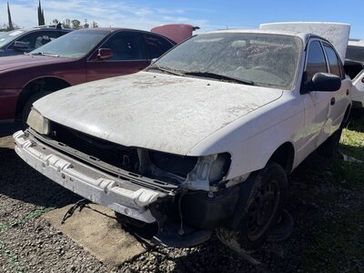 Catalog item STK056067