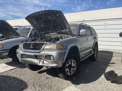 Catalog item POM063247