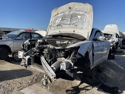 Catalog item POM058951