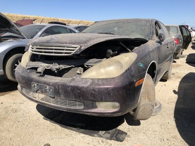 Catalog item FRE112459