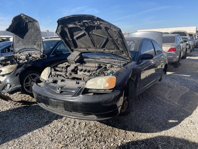 Catalog item POM063213