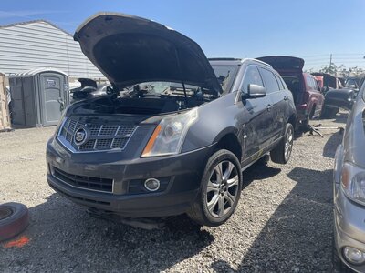 Catalog item POM063785