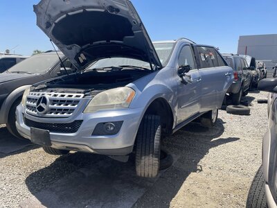 Catalog item POM065633