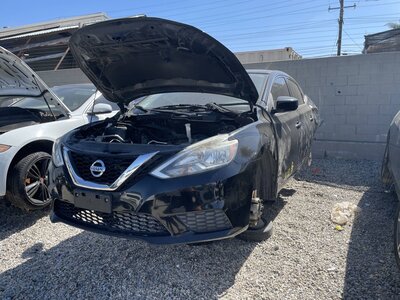 Catalog item POM064048