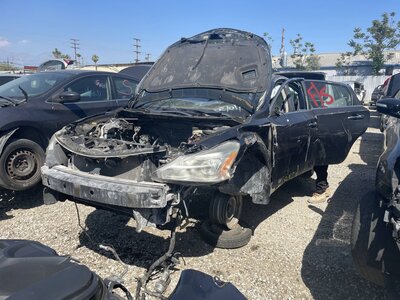 Catalog item POM063669