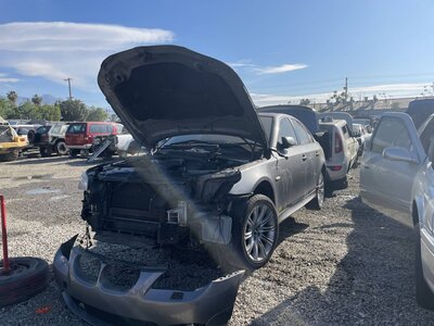 Catalog item POM063569