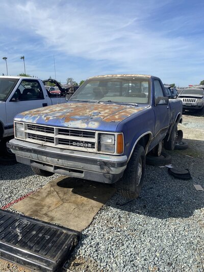 Catalog item SAC047851