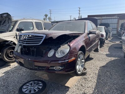 Catalog item POM063541