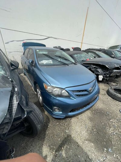 Catalog item POM060437