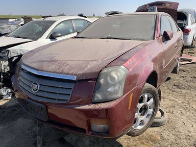 Catalog item FRE111787