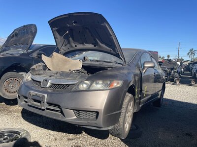 Catalog item POM061803