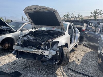 Catalog item POM063730