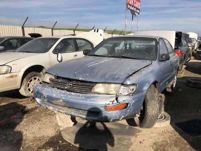 Catalog item FRE111362