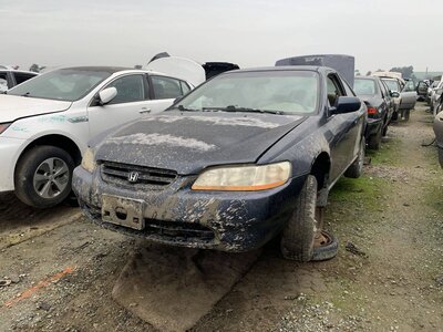 Catalog item FRE109804