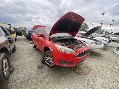 Artículo del catálogo SAC047627