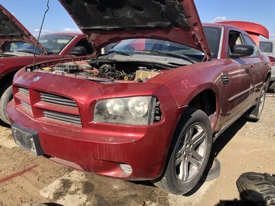 Catalog item FRE112418