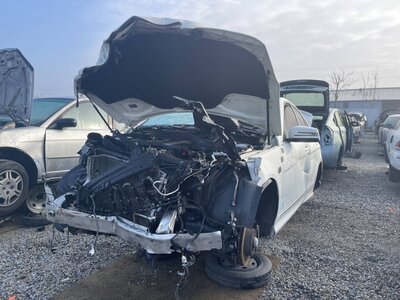 Catalog item POM062068