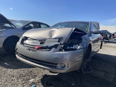 Catalog item POM062499