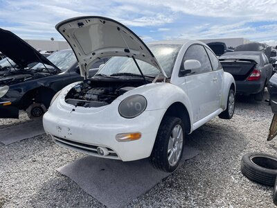 Catalog item POM063829