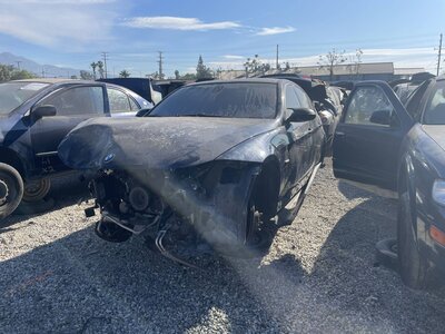 Catalog item POM063575