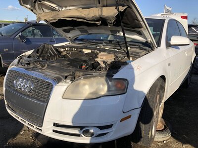 Catalog item FRE110918