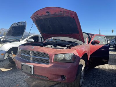 Catalog item POM061805