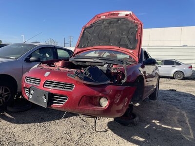 Catalog item POM062795