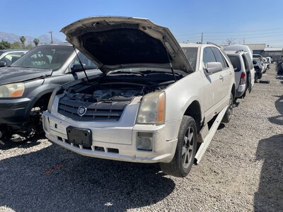 Catalog item POM063237