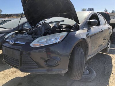 Catalog item FRE112666