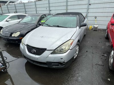 Catalog item POM062677