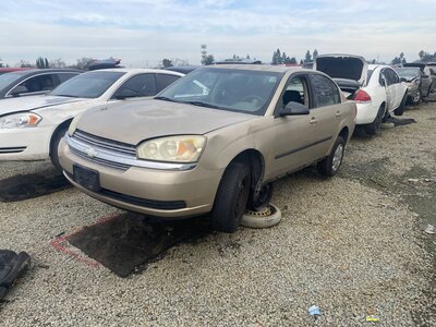 Catalog item SAC045921