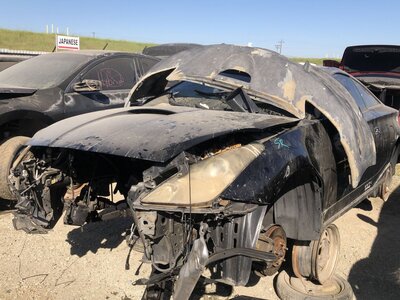 Catalog item FRE111741