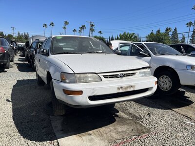 Catalog item SAC048203