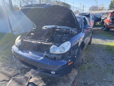 Catalog item SAC045656