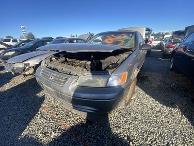 Catalog item SAC046703