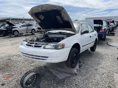 Catalog item POM063876