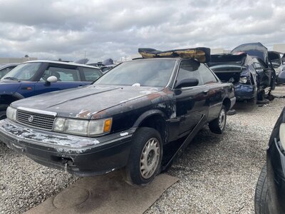 Catalog item POM063631