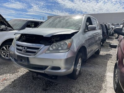 Catalog item POM063879