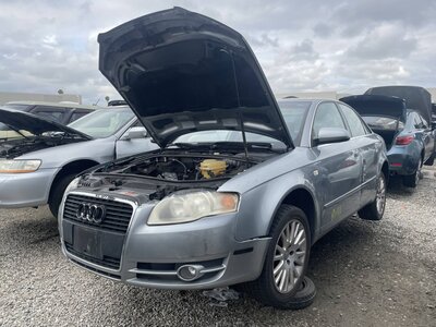 Catalog item POM063686