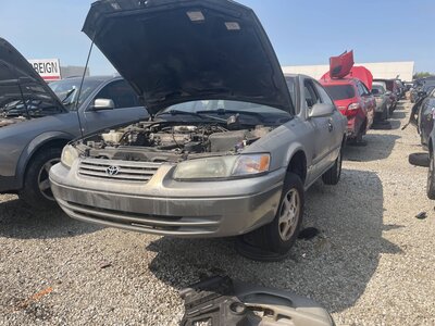 Catalog item POM063752