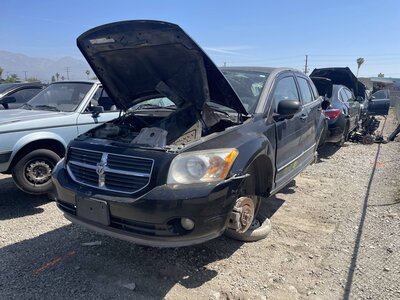 Catalog item POM063776