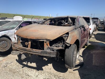 Catalog item FRE111739