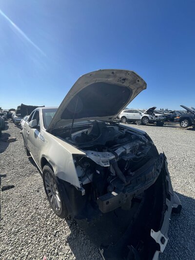 Catalog item SAC048373