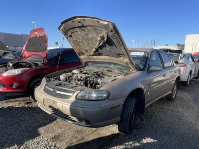 Catalog item POM063078