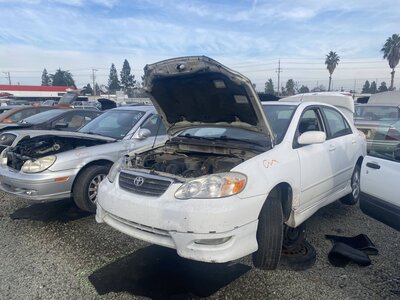 Catalog item SAC046090