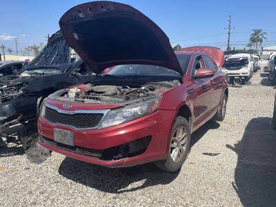 Catalog item POM063859