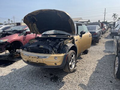 Catalog item POM063704