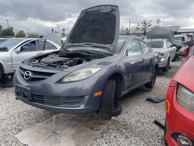 Catalog item POM063444