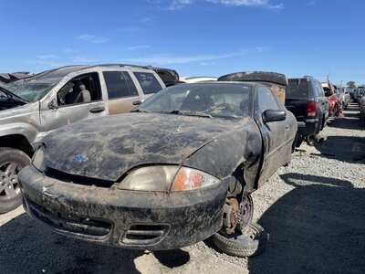 Artículo del catálogo STK056226